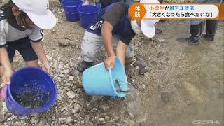 ６月のアユ釣り解禁を前に　小学生が稚アユの放流を体験　愛知・豊田市