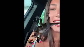 How to deal with influencers