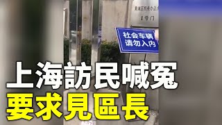 11月19日，上海黃浦區訪民孔令珍與坐輪椅的丈夫，在黃浦區機關辦公大樓前喊冤，要求見區長 #中國維權| #大紀元新聞網