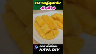 รีบกินมะม่วง ประโยชน์ที่แทบไม่มีใครคิดถึง กินแบบไหนไม่อ้วน | Nava DIY