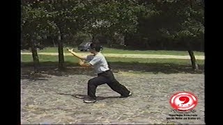 Gao style Baguazhang: Form and Function with Master Luo De Xiu