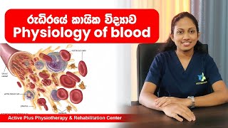 රුධිරයේ කායික විද්‍යාව | Physiology of blood 🩸