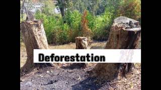 Deforestation in Meghalaya | DIET Thadlaskein Environmental Studies Video Report by R S Pohtam