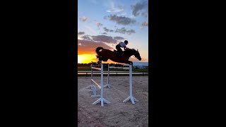 Funny Horses Show Strength Try Not To Laugh It's Really Strongest Horse Funny Video 2022 # 57
