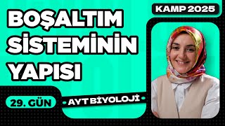 29) Üriner Sistemin Yapısı | Boşaltım Sistemi | 11. Sınıf Biyoloji | AYT Biyoloji Kampı 29. Video