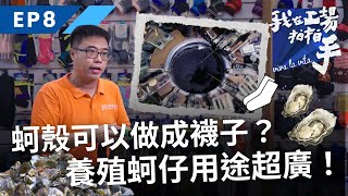 蚵仔可以做成襪子？養殖蚵仔用途超廣，超乎你的想像！｜我在工場拍拍手｜EP8廢棄蚵殼再生｜公視+免費收看