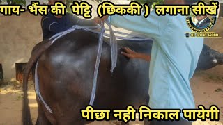 पीछा -फूल की पेट्टि (छिककी) लगाना सीखे । Prolapse नहीं कर पायेंगी.  Prolapse cure cow and Buffalo