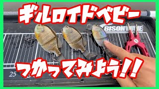 【バス釣り】イマカツのギルロイドベビーを使ってみよう！！