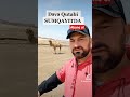 deve sumqayitda corat azerbaycan reels tiktok fypシ foryou dəvə