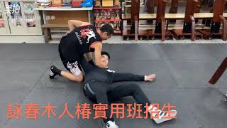 詠春拳木人椿應用編2 葉問系詠春拳 何金銘詠春拳 拳藝道 蕭自康