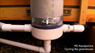 HD Aquaponics - cycling the aquaponics greenhouse