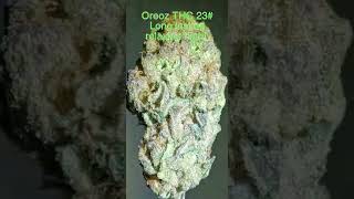 Oreoz Cannabis Strain.