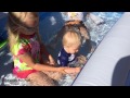 intex swim center family inflatable kiddie pool review