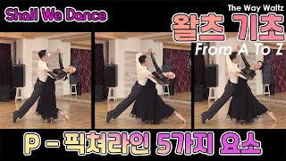 [Shall We Dance] 왈츠 입문 A부터 Z까지 P편 픽쳐라인(라인피겨) 5가지 구성요소