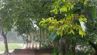 বৃষ্টি মুখর দিন|| A complete rainy day (1)