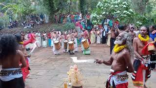 പാലക്കൊമ്പ് എഴുന്നള്ളിപ്പ്.       പൈങ്കുളം ദേശവിളക്ക്