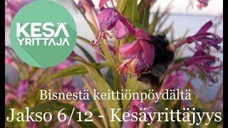 Bisnestä keittiönpöydältä - Kesäyrittäjyys / Mirva Murtomäki