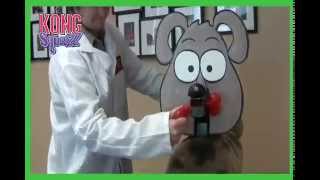 The Most Amazing Fantastic Squeaker Toy! KONG Squeezz Ball Dog Toy, Review.