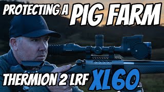 Protect the Pigs - Fox, Feral Cat, \u0026 Feral Pig Contract Shoot || Pulsar Thermion 2 LRF XL60 Scope