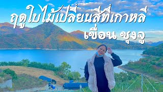 เขื่อนเก็บน้ำชุงจู | ใบไม้เปลี่ยนสีที่เกาหลี