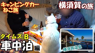 【ねこ旅】横須賀の旅　車中泊編