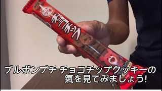 氣の良い物を食べよう！ブルボン　プチチョコチップクッキーの氣を見てみましょう！