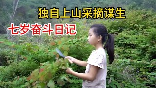 7歲小孩的奮斗日記！獨自上山采摘謀生，詩玉記錄解說，感動人心！