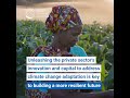 How can the private sector invest in and innovate for climate adaptation?