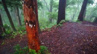 20180724　青森県新郷村大石神ピラミッド