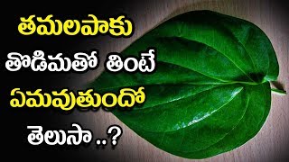 తమలపాకు తొడిమతో తింటే ఏమవుతుందో తెలుసా ..? . - మన ఆరోగ్యం తెలుగు హెల్త్ టిప్స్