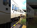 【指宿のたまて箱】【構内踏切】を通過　 shorts 踏切 train