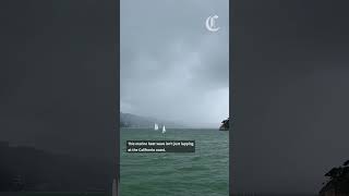 Marine heat wave impacts Bay Area weather