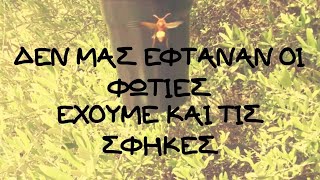 ΦΤΙΑΧΝΩ ΠΑΓΙΔΕΣ ΓΙΑ ΣΦΗΚΕΣ (I MAKE WASP TRAPS DIY)