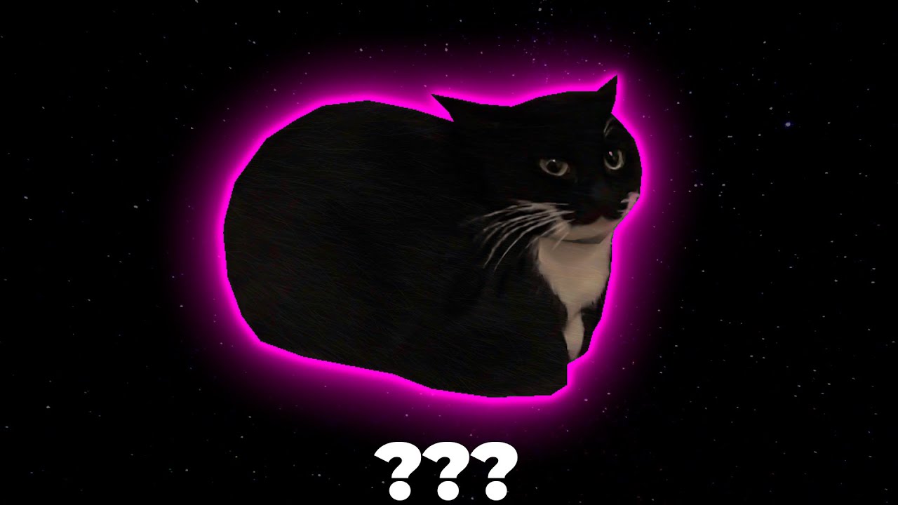 Maxwell The Cat Sound Variations In 30 Seconds Youtube