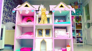 Building 4 FLOORS Kitten Cat Pet House from Cardboard !