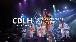Qué Pretendes - Callaita (En Vivo) 14 Aniversario - Combinación De La Habana