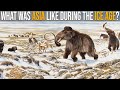 What Was Asia Like During Ice Age?