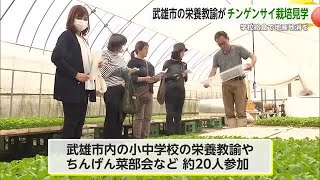 栄養教諭が産地の見学や生産者との意見交換「チンゲンサイを学校給食に」【佐賀県】 (24/10/21 17:30)