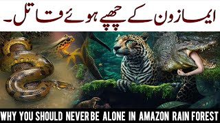 Amazon k chupy hoye qatil | most dangerous animals of Amazon | killer list