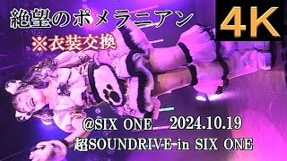 絶望のポメラニアン【４K,縦動画】2024.10.19・超SOUNdRIVE in SIX ONE・SIX ONE