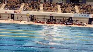 50Fr T決勝 猿山 第39回浜名湾長水路選手権水泳競技大会