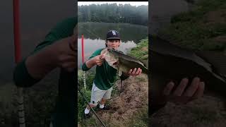 BIG Bass Early In The Morning! Shorts