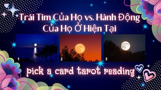 Trái Tim Của Họ vs. Hành Động Của Họ Ở Hiện Tại🔮❤️😘 Timeless Tarot Reading-Pick a card #xemtarot