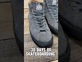 30 days of skateboarding shoe review with Brodie Vale and LastResort AB #lastresortab #skateboarding