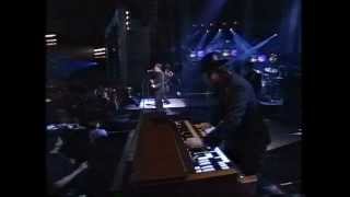 Wallflowers Bruce Springsteen One Headlight