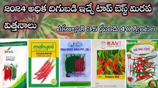 #2024 అధిక దిగుబడి ఇచ్చే టాప్ బెస్ట్ మిరప విత్తనాలు || #top_Chilli_Seeds_in_telugu #Chillifarming