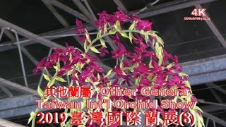 (4K)2019臺灣國際蘭展(8) 其他蘭屬.Other Genera.Taiwan Int'l Orchid Show.4K Ultra HD