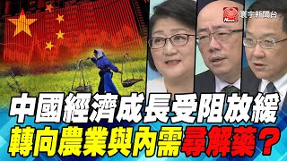 P5中國經濟成長受阻放緩 轉向農業與內需尋解藥？｜寰宇全視界20200418