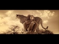 Code Indigo - Relax