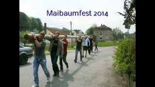 Maibaum 2014